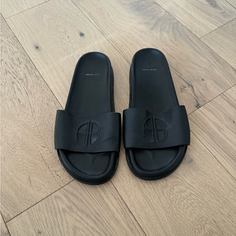 Anine bing Carson leather slides